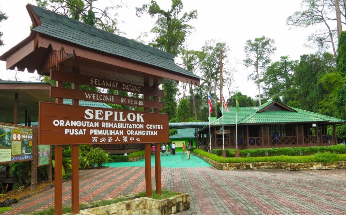 Острова Сипадан - Мабул - Капалай