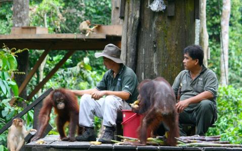 Острова Сипадан - Мабул - Капалай
