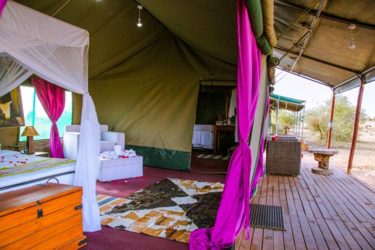 Serengheti Luxury Camp