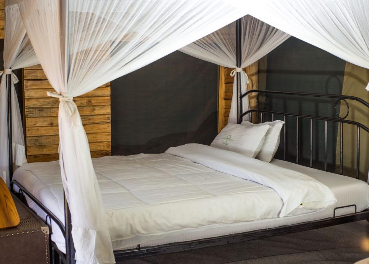 Serengheti Luxury Camp