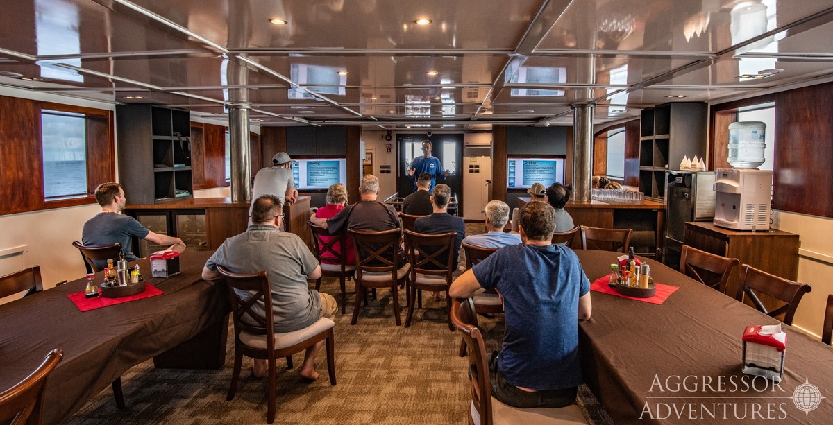 Cocos Island Aggressor