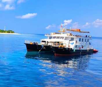 Navis 1