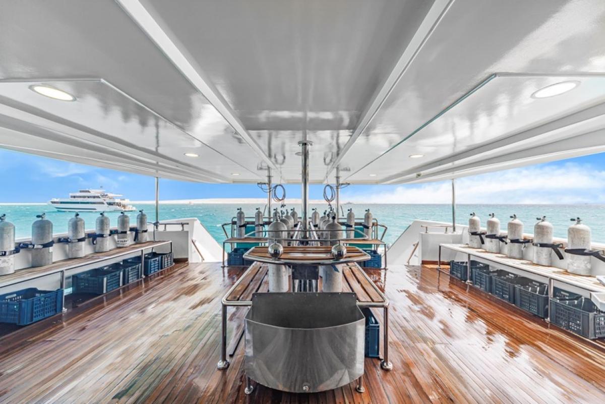 Sea Serpent Contessa