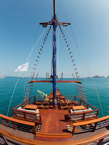 Sea Safari 6