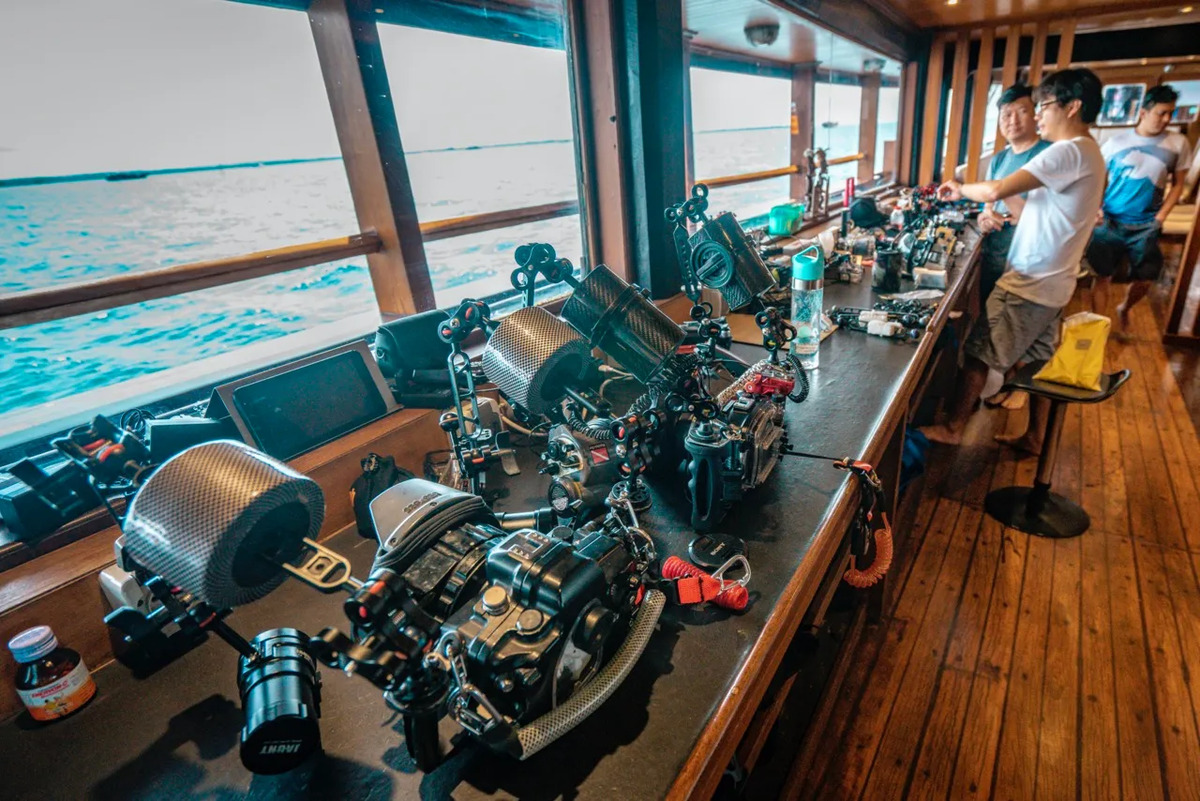 Sea Safari 8