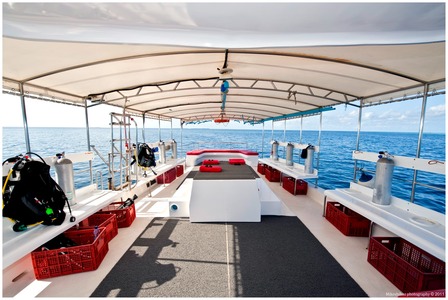 DUNE Theia