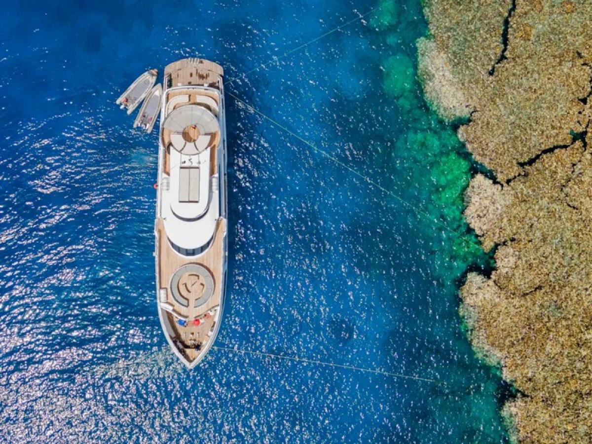 Sea Serpent Excellence