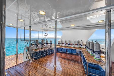 Sea Serpent Excellence