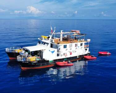 Navis 1