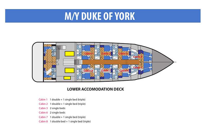 Duke Of York