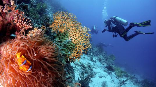 Дедалус – Фьюри Шоалз - Эльфинстоун</br>(7 ночей)