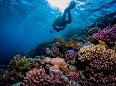 Дедалус – Фьюри Шоалз - Эльфинстоун</br>(7 ночей)