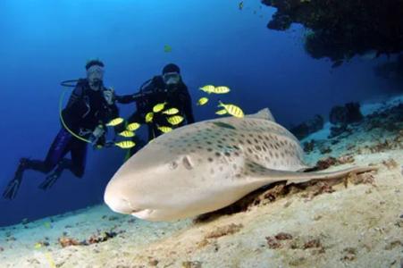 Центральные атоллы Мальдив