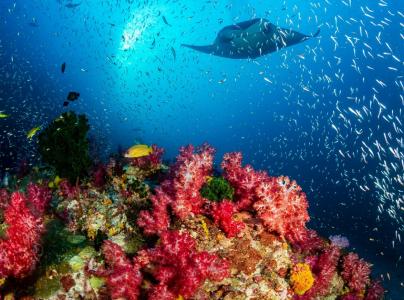 Центральные атоллы Мальдив