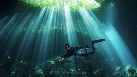 Сеноты Юкатана, Косумель и погружения с бычьими акулами </br> (9 ночей)