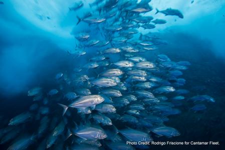 Острова Сокорро (10 ночей)