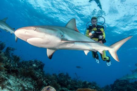 Острова Палау (7 ночей)