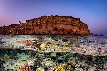 Дедалус - Роки - Забаргад (7 ночей)