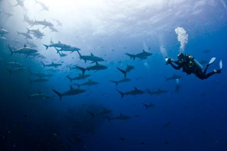 Остров Сокорро (10 ночей)