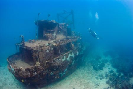 Лучшие дайв-сайты Красного моря (7 ночей)