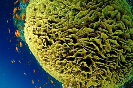 Дальний юг (7 ночей)