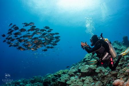 Острова Палау: специальный маршрут в полнолуние (7 ночей)