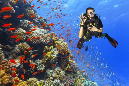 Острова Бимини и Тайгер Бич 