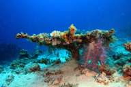 Бразерс - Дедалус - Эльфинстоун (7 ночей)