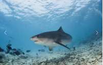 Остров Фувамула (7 ночей)