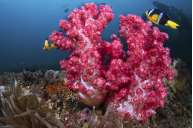 Острова Халланьят (7 ночей)