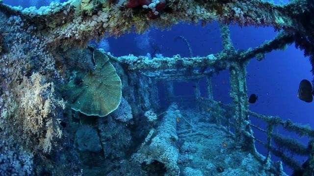 Бразерс, Дедалус и Эльфинстоун (7 ночей)
