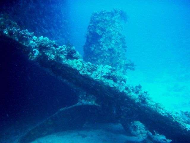 Север Красного моря (7 ночей)