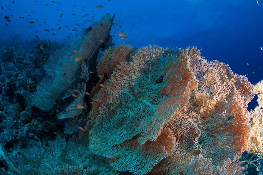 Классический маршрут по северу Красного моря (7 ночей)