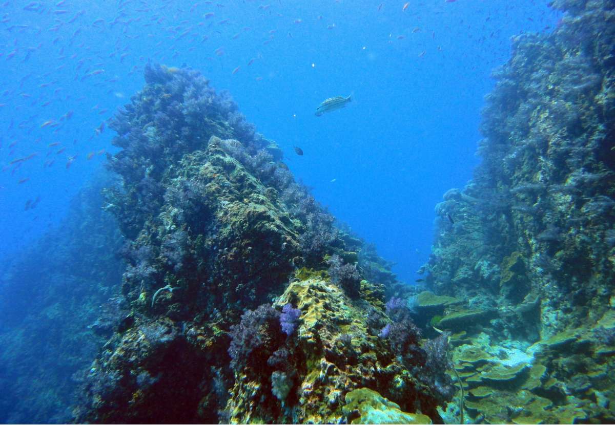 Симиланские острова - Ришелье Рок (4 ночи)