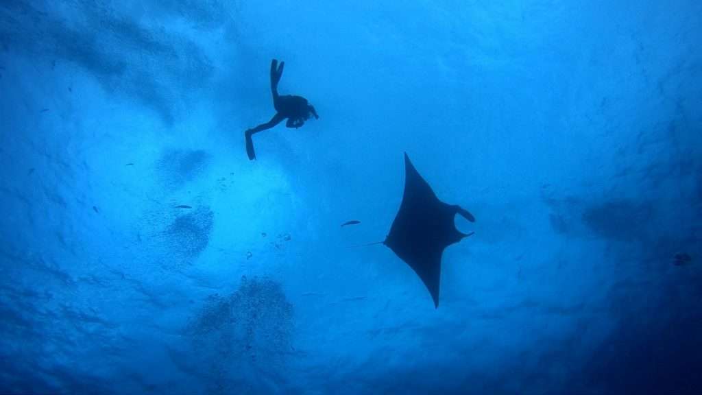 Остров Сокорро (8 ночей)