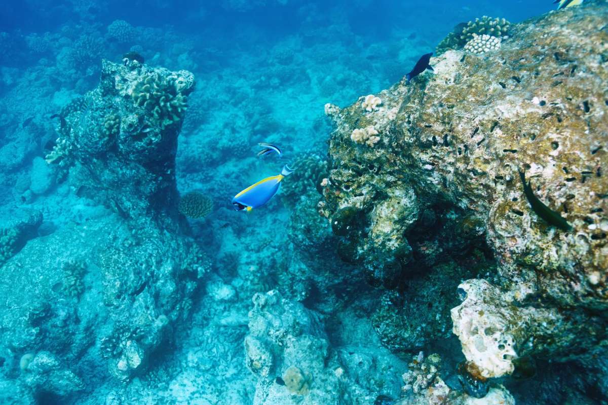 Центральные атоллы (7 ночей)