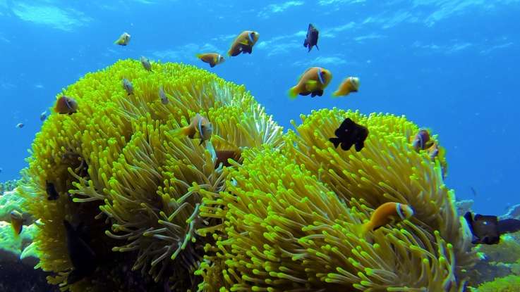 Дальний юг (7 ночей)