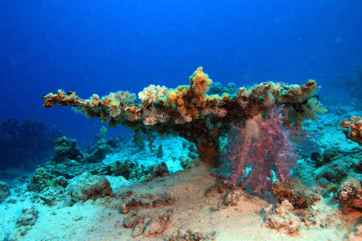 Бразерс - Дедалус - Эльфинстоун (7 ночей)