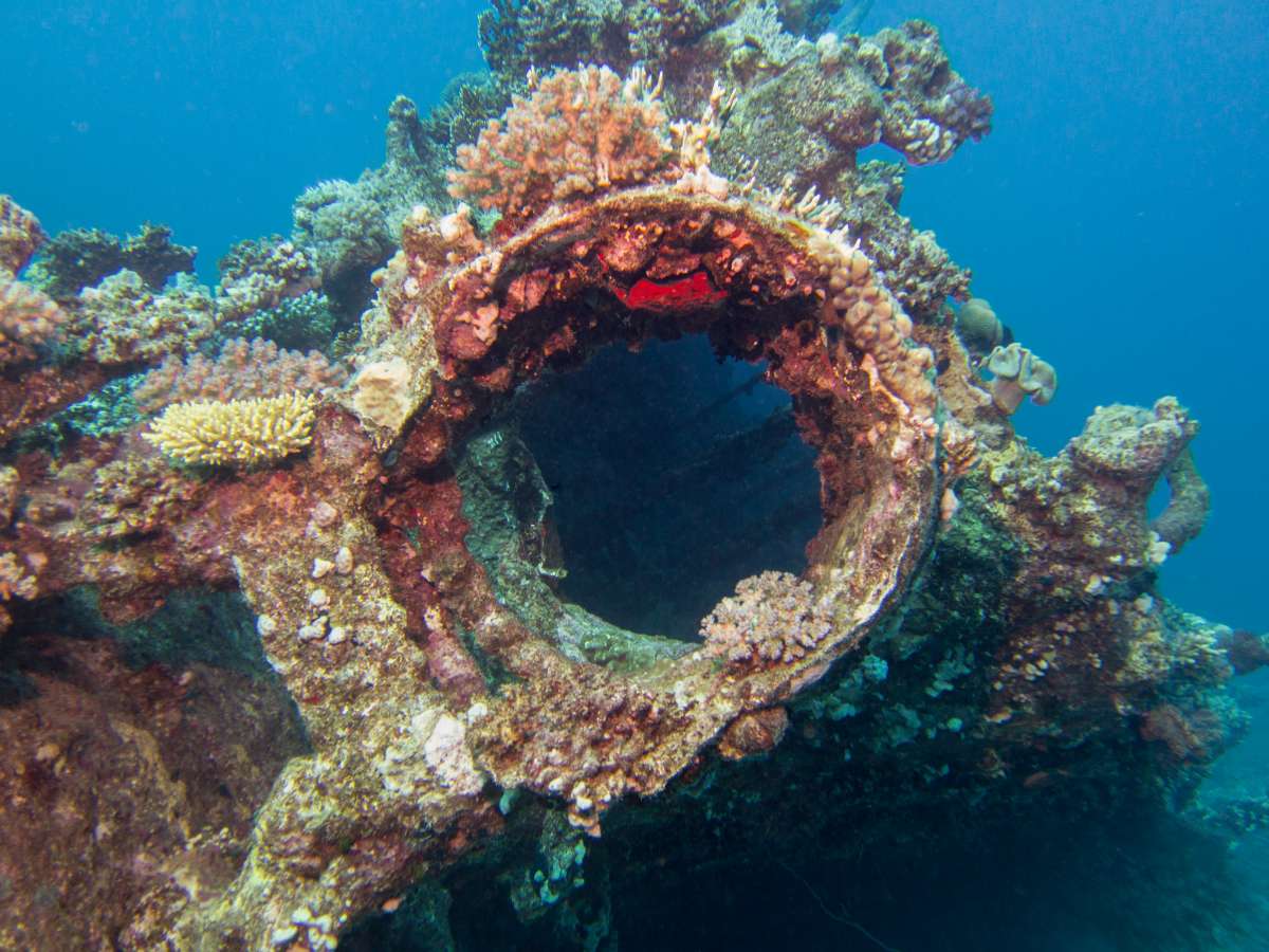 Север Красного моря (7 ночей)