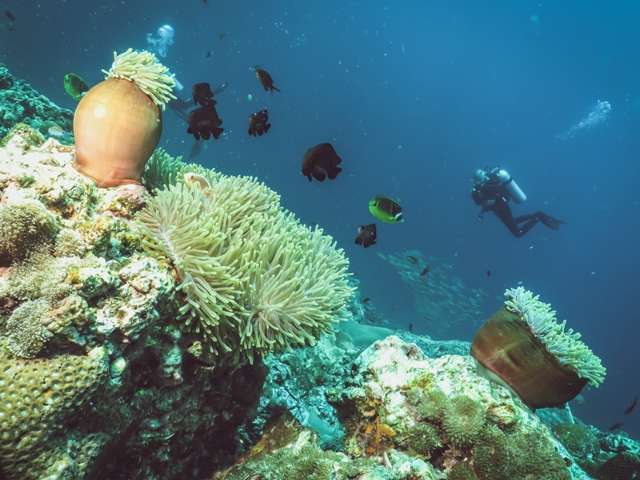 Юг Таиланда - Суринские острова – Симиланские острова (10 ночей)