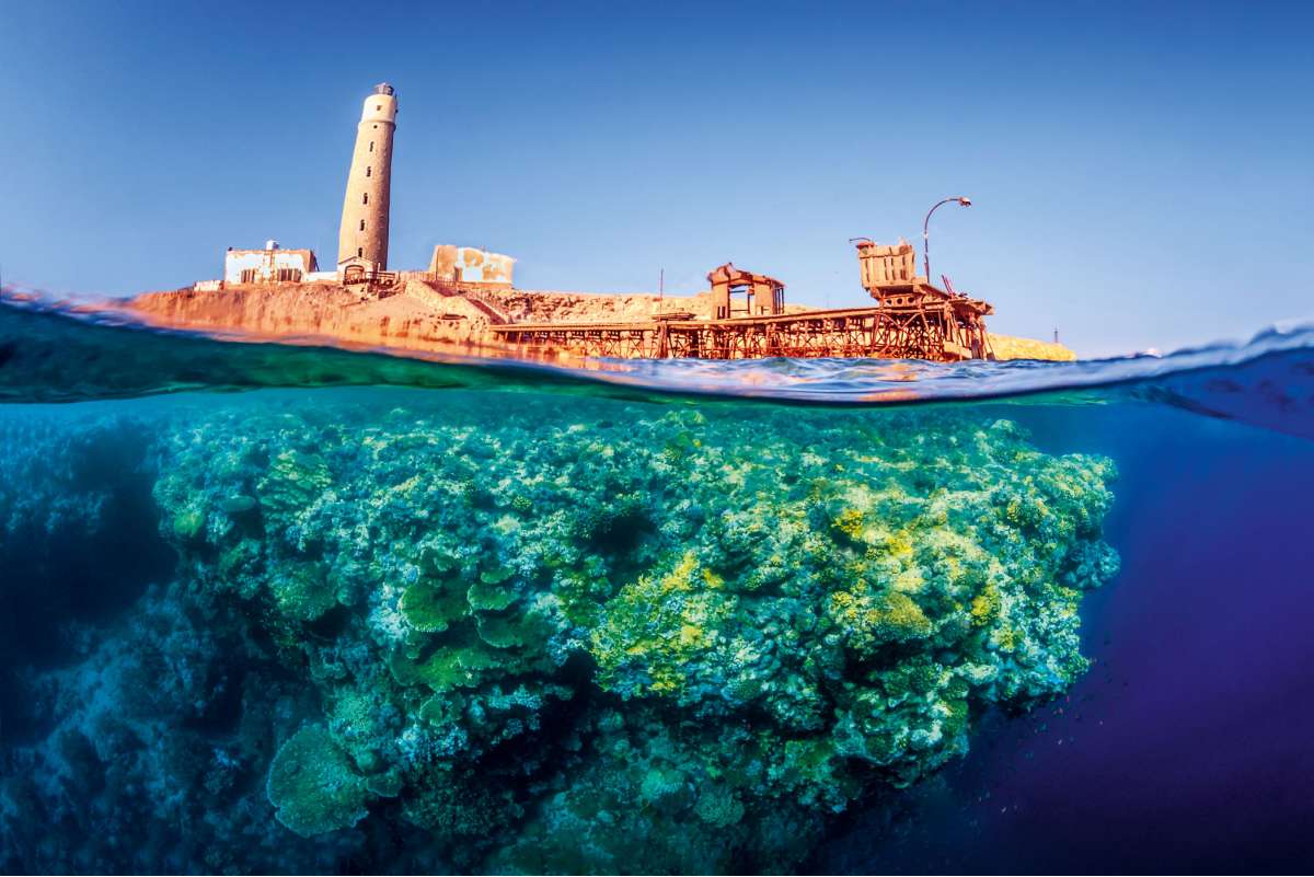 Север Красного моря и острова Бразерс <br />7 ночей