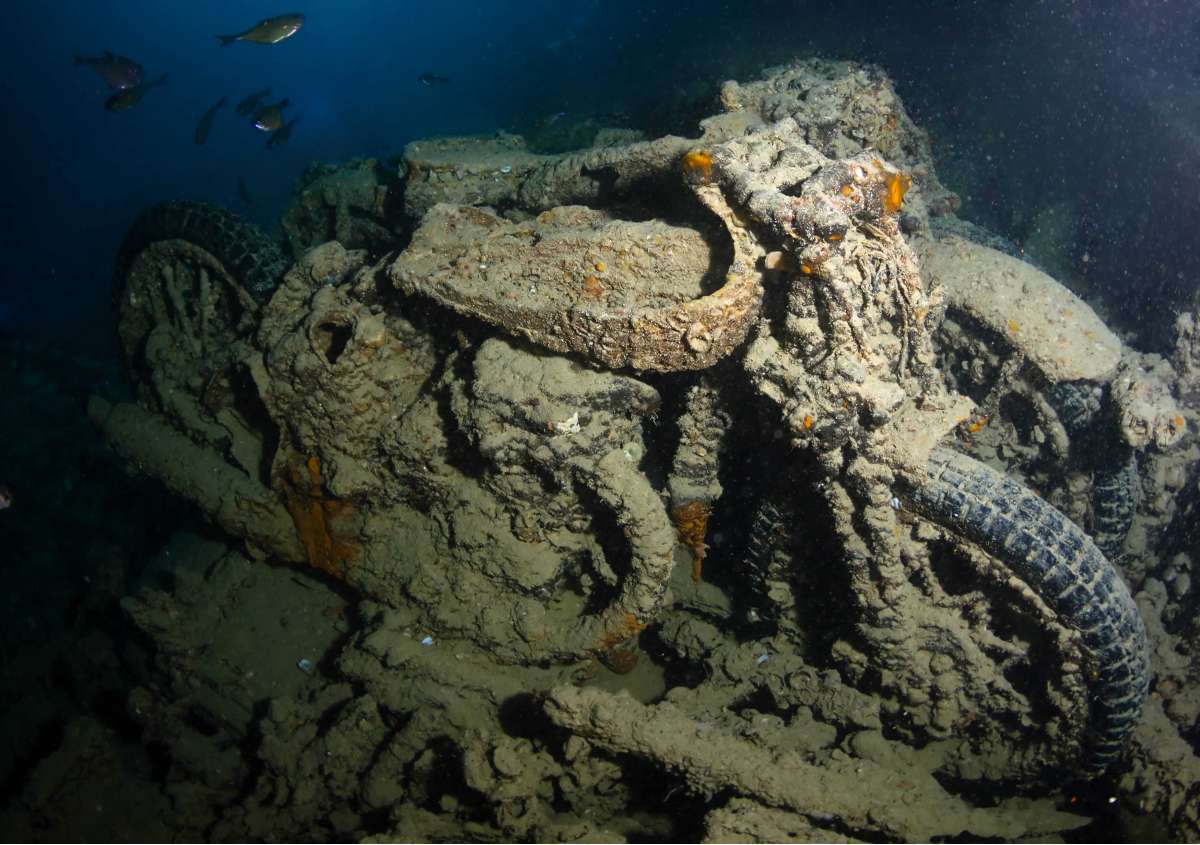 Север Красного моря и острова Бразерс (7 ночей)