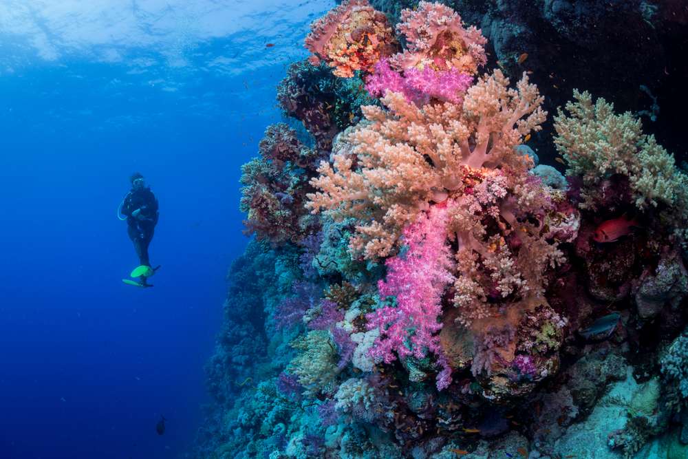 Север и острова Бразерс (Хургада - Порт Галиб)