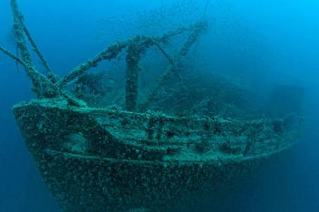 Розалі Мюллер (Rosalie Moller)