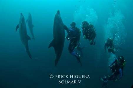 Сан Бенедікто