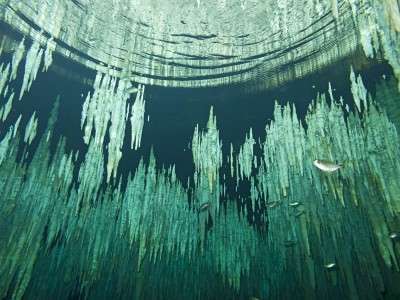 Сенот Дрімгейт